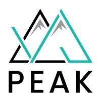 peak accounting services logo image