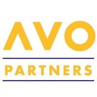 avo partners group logo image