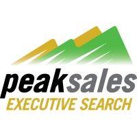 peak sales executive search logo image