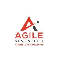 agileseventeen llc logo image