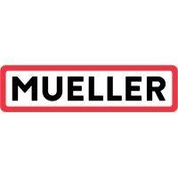 mueller systems logo image