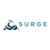 surge ventures logo image