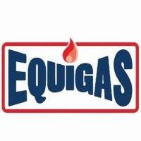 equigas, inc. logo image