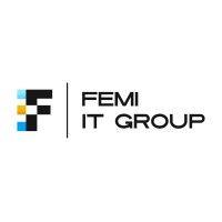 femi it group logo image