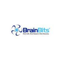 brainbits llc logo image