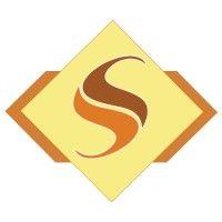 shandy systems logo image