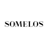 somelos group logo image