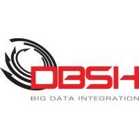 dbs-h ltd. logo image