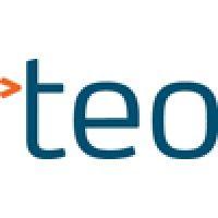 teo international logo image