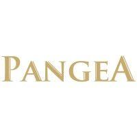 pangea consulting logo image