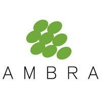 ambra s.a. logo image