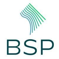 boundary stone partners logo image