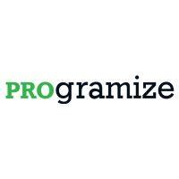 programize logo image