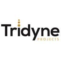 tridyne projects corporation logo image