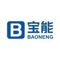 baoneng group logo image