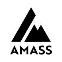 amass logo image