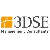 3dse management consultants gmbh logo image