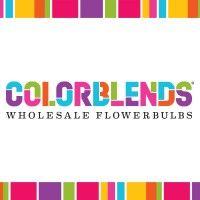 colorblends wholesale flowerbulbs