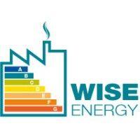 wise energy logo image