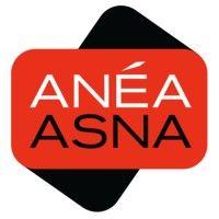 anéa - asna logo image