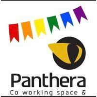 pantherapro logo image