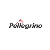 pellegrino autopeças e motopeças logo image