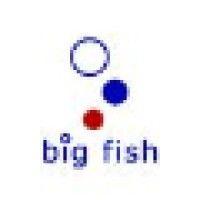 big fish international logo image