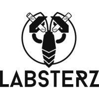 labsterz logo image