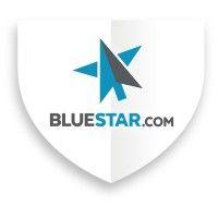 bluestar inspections, inc. logo image