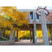 university of colorado boulder electrical, computer, and energy engineering logo image