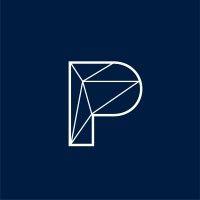 perpetua investment group logo image