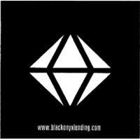 black onyx lending, llc logo image