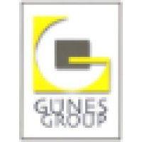 gunes group logo image