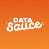 datasauce logo image