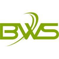 bws outsourcing logo image