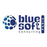 blue soft consulting paris (ex-ileo conseil) logo image