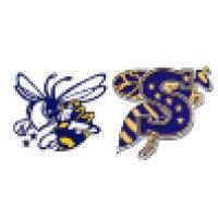 stephenville isd logo image