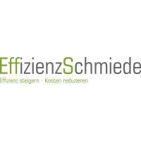 effizienzschmiede gmbh