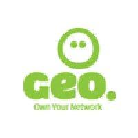 geo networks logo image