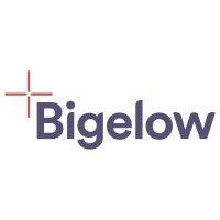 bigelow llc logo image