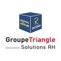 regional interim - r interim groupe triangle solutions rh logo image