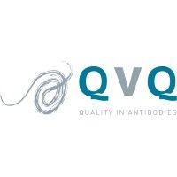 qvq holding bv logo image