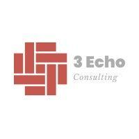 3 echo consulting, llc logo image