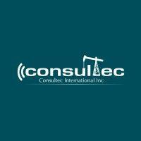 consultec international inc logo image