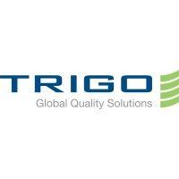 trigo aerospace defense & rail logo image