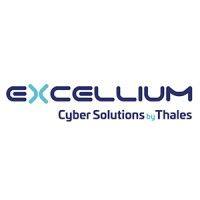 excellium services logo image