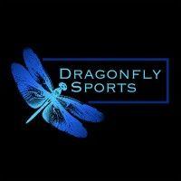 dragonfly sports logo image