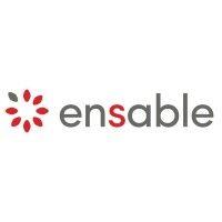 ensable logo image