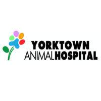 yorktown animal hospital logo image