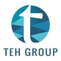 teh group logo image